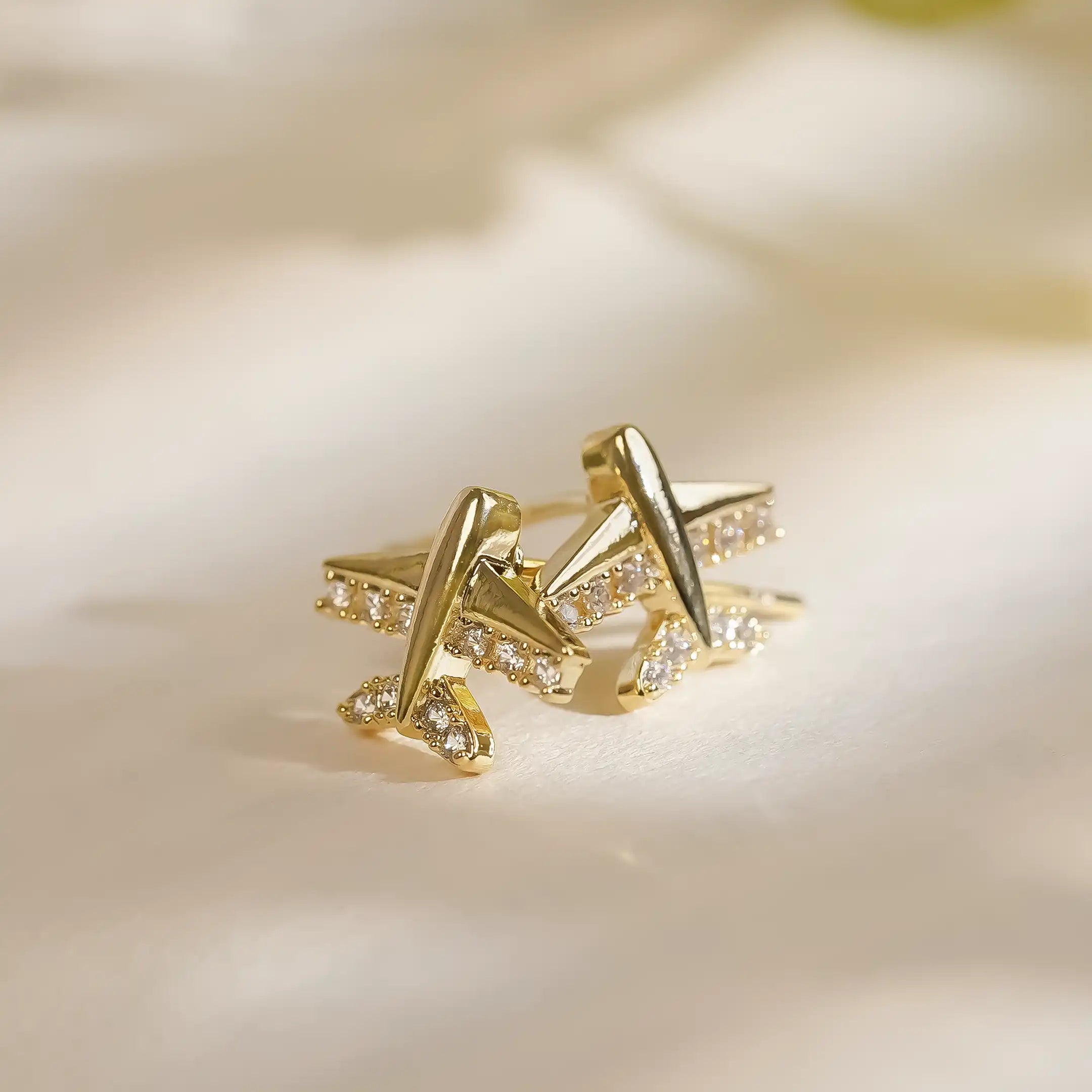 Skyward Wings Earrings